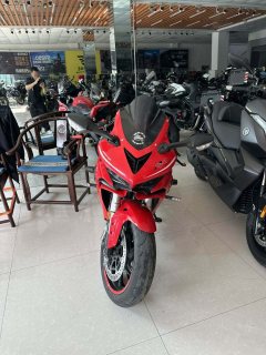 QJMOTOR Sai 600 - photo 3