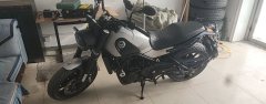 Benelli Lion Cub Leoncino 500 - ფოტო 1