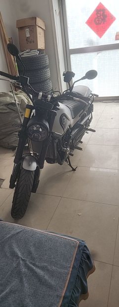 Benelli Lion Cub Leoncino 500 - ფოტო 2