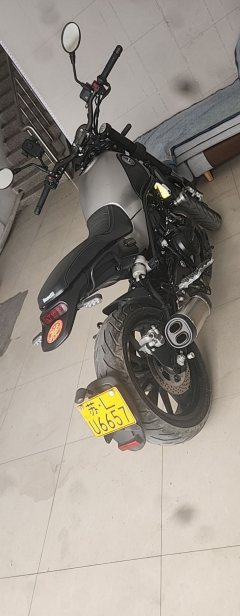 Benelli Lion Cub Leoncino 500 - ფოტო 3