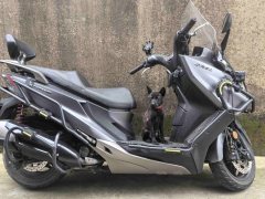 KYMCO Rowing CT250 - ფოტო 1