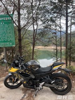 Voge 250RR - ფოტო 3