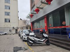Cyclone Ruitu RT3 250 cc - ფოტო 4