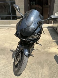Yamaha YZF-R3 320 cc - ფოტო 3