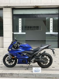 Yamaha YZF-R3 320 cc - ფოტო 8
