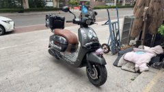 Weiduoliya Sixties 250Si - photo 2