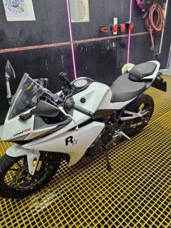 Kayo 250RR Thornbird - ფოტო 1