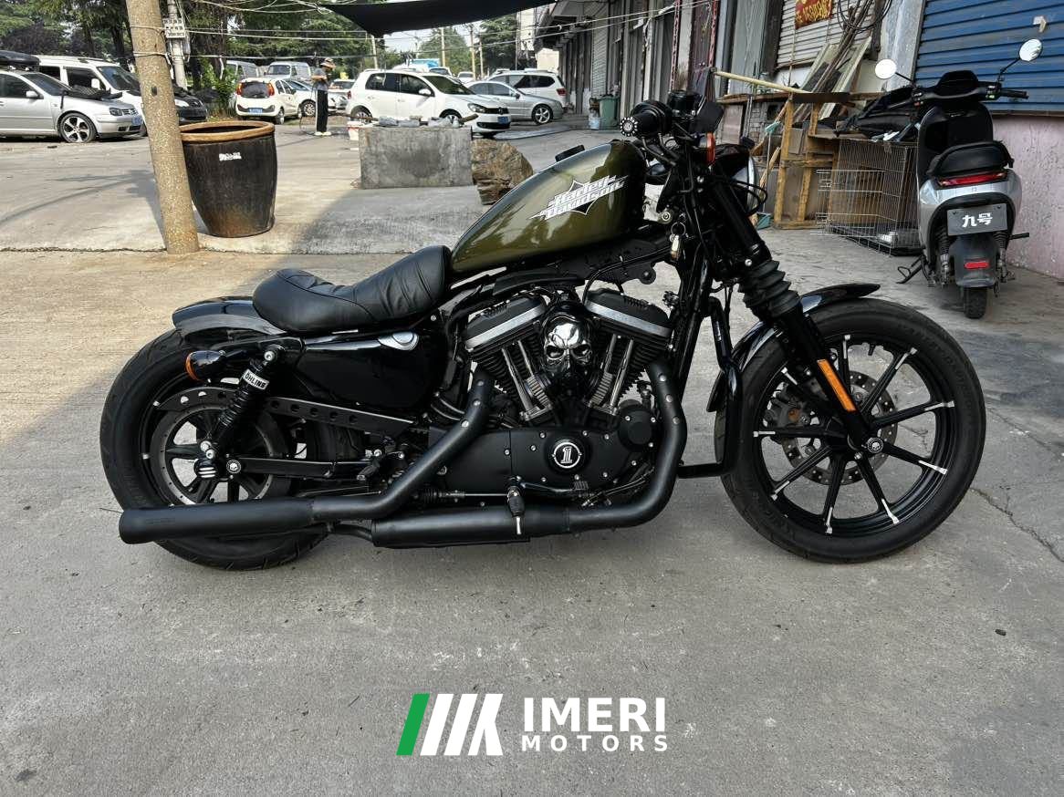 2019 Harley-Davidson Iron883 Tough Guy