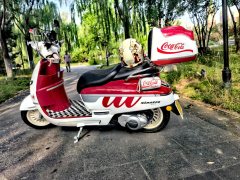 Nanfnag Monica Lisa Feigo 150 cc - ფოტო 1