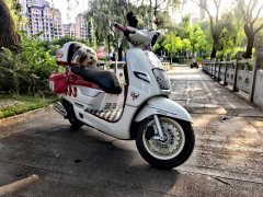 Nanfnag Monica Lisa Feigo 150 cc - ფოტო 3