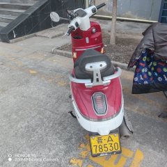 Nanfnag Monica Lisa Feigo 150 cc - ფოტო 4
