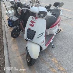 Nanfnag Monica Lisa Feigo 150 cc - ფოტო 5