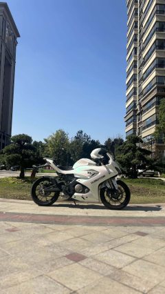 QJMOTOR SRK 250 - ფოტო 3