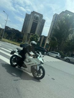 QJMOTOR SRK 250 - ფოტო 4