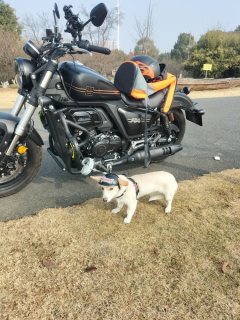 Cyclone RA401 400 cc - ფოტო 4
