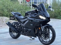 Yamaha YZF-R3 320 cc - ფოტო 1