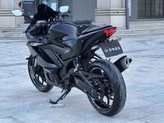 Yamaha YZF-R3 320 cc - ფოტო 5