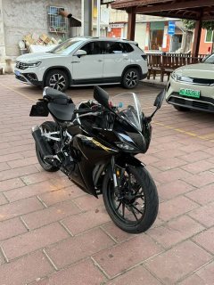 Kayo 250RR Thornbird - ფოტო 1