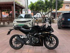 Kayo 250RR Thornbird - ფოტო 2