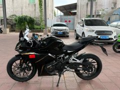 Kayo 250RR Thornbird - ფოტო 3