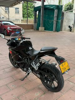 Kayo 250RR Thornbird - ფოტო 4