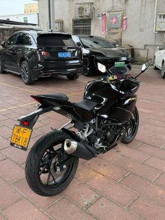 Kayo 250RR Thornbird - ფოტო 5