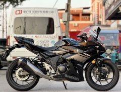 Haojue Suzuki GSX250R - фото 3