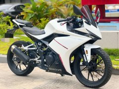 Kayo 250RR Thornbird - ფოტო 3