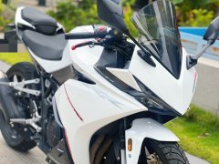 Kayo 250RR Thornbird - ფოტო 4