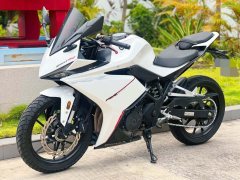 Kayo 250RR Thornbird - ფოტო 5