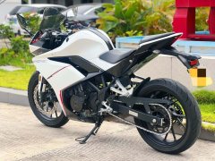 Kayo 250RR Thornbird - ფოტო 7