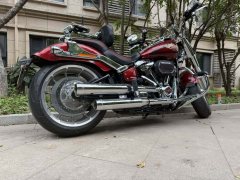 Harley-Davidson Fat Boy 1860 cc - ფოტო 4