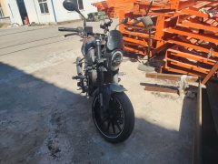Benelli Leoncino 250 - ფოტო 3