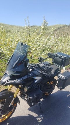 Voge DS625X 600 cc - photo 3