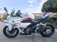 QJMOTOR Sai 450 - photo 1