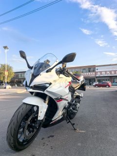 QJMOTOR Sai 450 - photo 2
