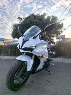 QJMOTOR Sai 450 - photo 6