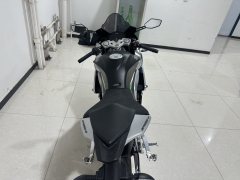 Zongshengapuliya GPR250R - фото 5