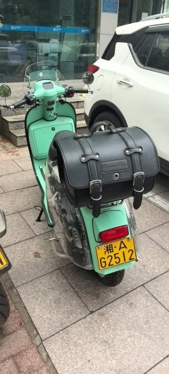 ROYAL ALLOY GP250 - фото 3