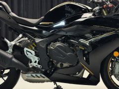 QJMOTOR Race 800 - photo 7