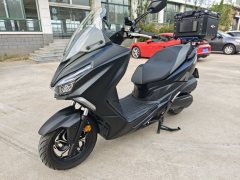 QJMOTOR Hong 250 - photo 3