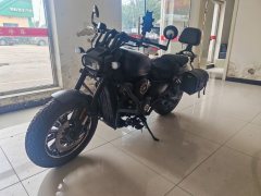 QJMOTOR Flash 250 - фото 1