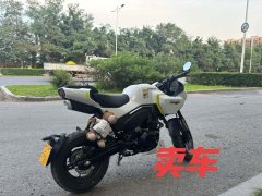 CFMOTO Papio XO-1 125 cc - ფოტო 1