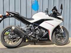 Kayo 250RR Thornbird - ფოტო 2