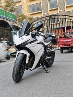 Kayo 250RR Thornbird - ფოტო 3