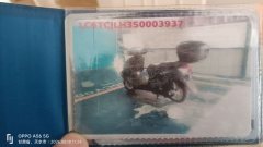 Haojue VSR125 - ფოტო 6