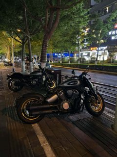 Benda 450 - ფოტო 2