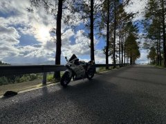 Kayo 450RR - фото 3