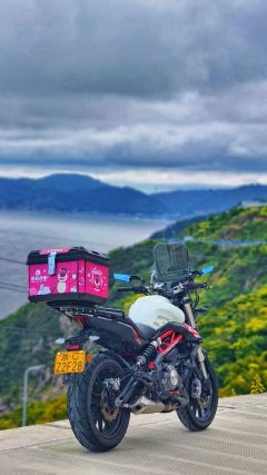 Benelli TNT 300 / BN 302S - ფოტო 2