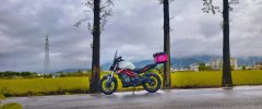 Benelli TNT 300 / BN 302S - ფოტო 3